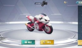 摩托车皮肤最新爆料,炫酷设计，引领潮流新风尚